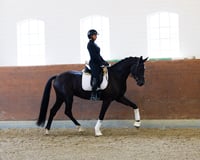 preview pic