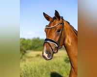 preview pic
