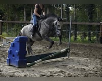 preview pic