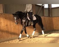 preview pic