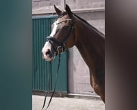 preview pic
