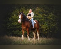 preview pic