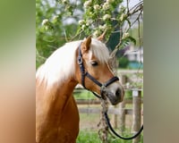 preview pic