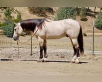 preview pic