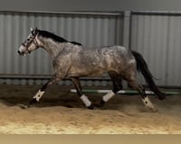 preview pic