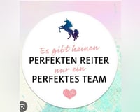 Reitbeteiligung gesucht 