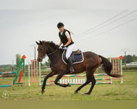 preview pic