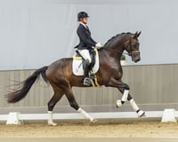 preview pic