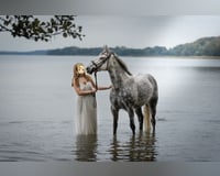 preview pic