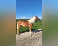 preview pic