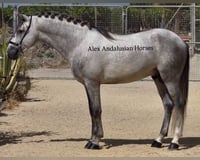 preview pic