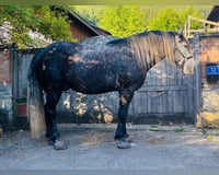 preview pic