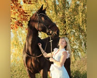 preview pic
