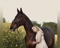 preview pic