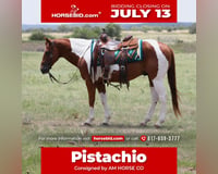 preview pic