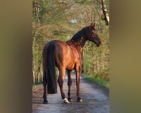preview pic