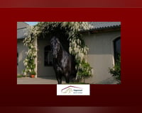 preview pic