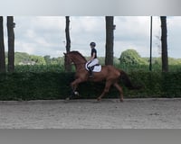 preview pic