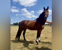 preview pic