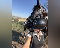 preview pic