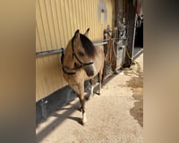 preview pic