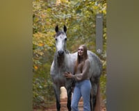 preview pic