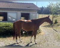 preview pic