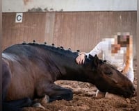 preview pic