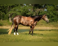 preview pic