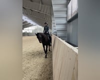 preview pic