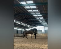preview pic