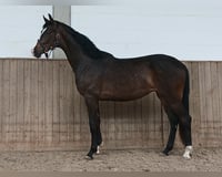 preview pic
