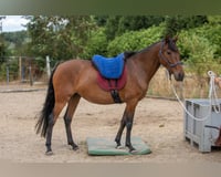 preview pic