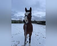 preview pic