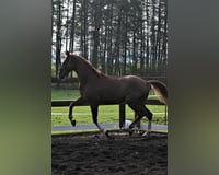 preview pic