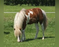 preview pic