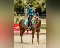 preview pic