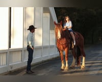 preview pic