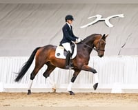 preview pic