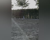 preview pic