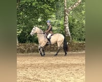 preview pic