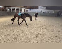 preview pic