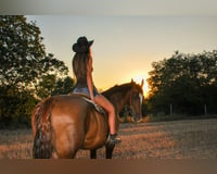preview pic