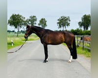 preview pic