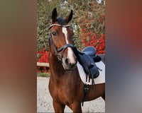 preview pic
