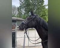 preview pic