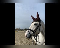 preview pic
