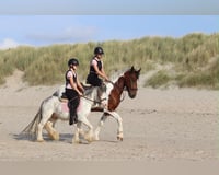 preview pic