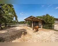 preview pic