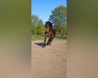 preview pic